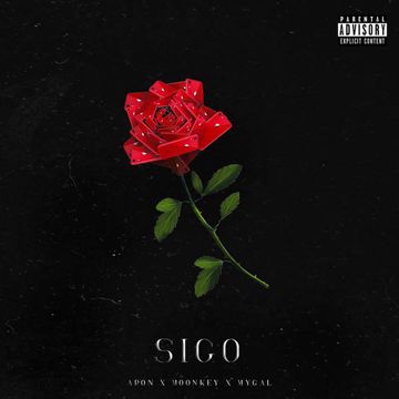 Sigo-cover