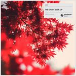 We Can't Give Up(Extended Mix)-cover