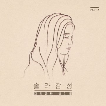 그리움만 쌓이네-cover