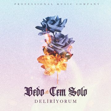 DELİRİYORUM-cover