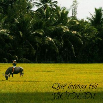 Người Đi Xây Hồ Kẻ Gỗ