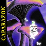 Caparazon(Twin Version)-cover