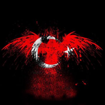 Vatan Sağolsun-cover