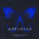 看清楚了我不是他-cover