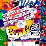 BOTA FUEGO(Remix)-cover