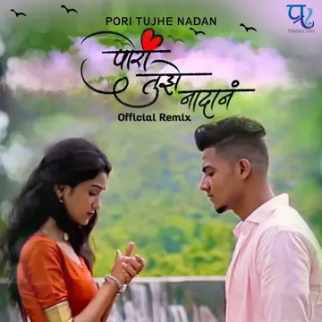 Pori Tujhe Nadan Official Remix-cover