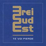 Te Voi Pierde(Radio Edit)-cover