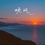 晚风(DJ默涵版)(DJ版)