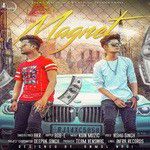 Magnet-cover