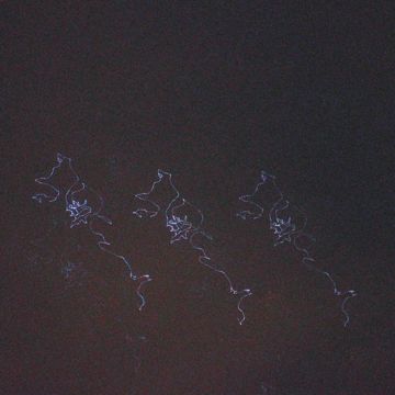 phantoms-cover