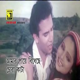 আমার পায়ে বিঁধেছে জোড়া কাটা-cover