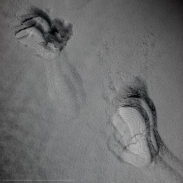 발자국-cover