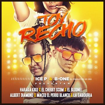 Toy Recho-cover