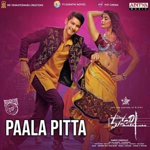 PAALA PITTA (Instrumental version)-cover