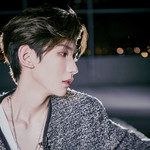 海芋恋 (2016快乐大本营现场)-cover