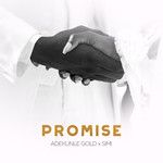 simiadekunle-gold-promise-cover-image