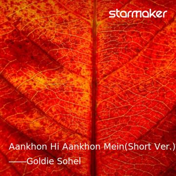 Aankhon Hi Aankhon Mein(Short Ver.)-cover