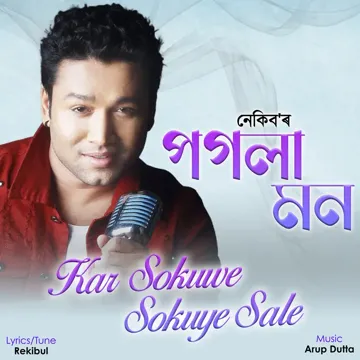 Kar Sokuwe Sokuye Sale (Pogola Mon)-cover