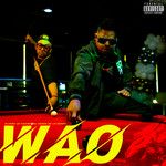 Wao-cover