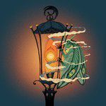 Moth-cover