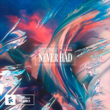 Never Had-cover