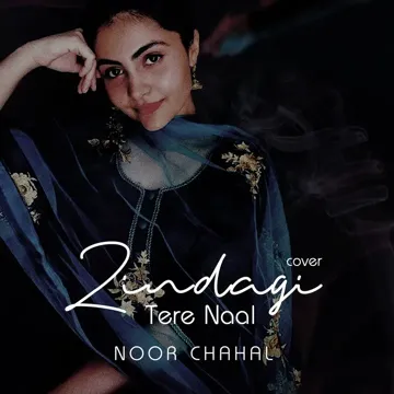 Zindagi Tere Naal (Cover)-cover