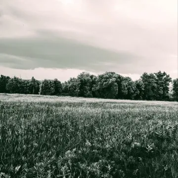 coveImg