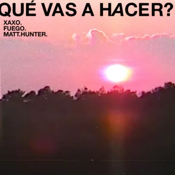 Qué Vas A Hacer?-cover