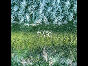 Таю-cover