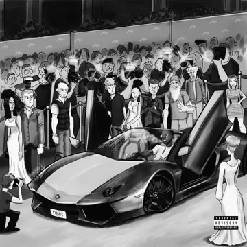 1 Scale-cover
