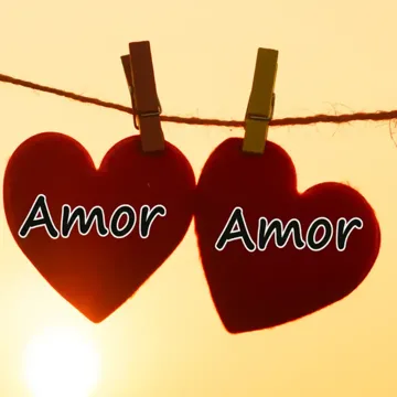 16-cover