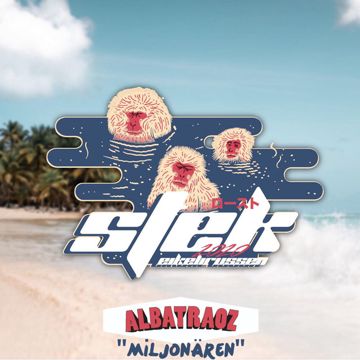 Miljonären (Stek 2020)-cover