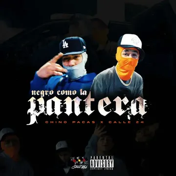 Negro Como La Pantera-cover