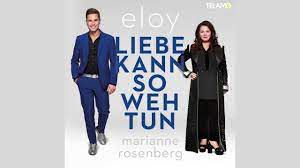 Liebe Kann So Weh Tun-cover