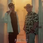 Pare-cover