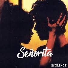 Señorita-cover