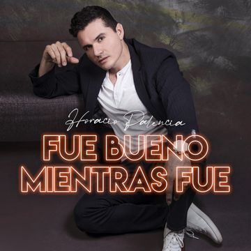 Fue Bueno Mientras Fue-cover