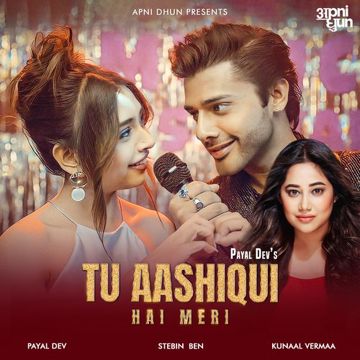 Tu Aashiqui Hai Meri-cover