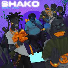 Shako-cover