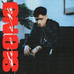 Si o No-cover