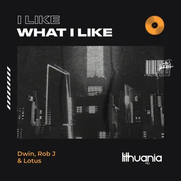 I Like What I Like-cover
