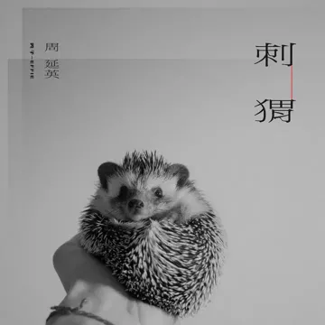刺猬-cover