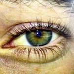 coveImg