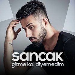 GİTME KAL DİYEMEDİM-cover