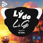 Lý Do Là Gì (Remix)-cover