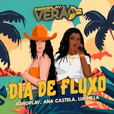 Dia de Fluxo-cover