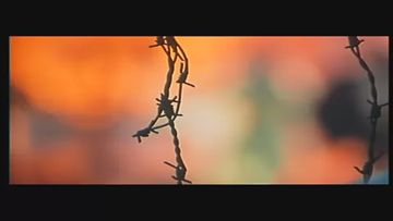 Putki7 by gunda-cover