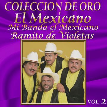 Ramito De Violetas