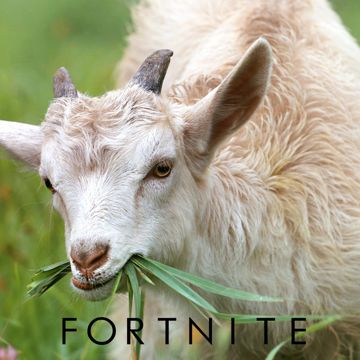 Fortnite-cover