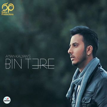 Bin Tere-cover